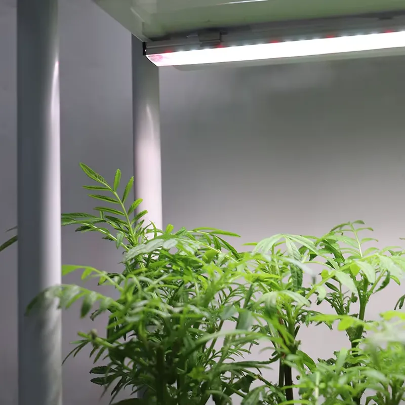 Self-Watering Planter - Verplaatsbaar verticaal 3-laags zelfwaterende slimme tuinplantbak