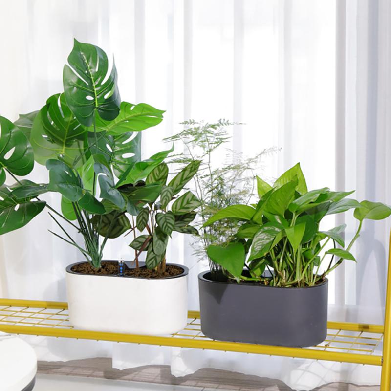 Indoor Plant Met Indicator Hou - Automatic Plant Waterer recensie en prijs